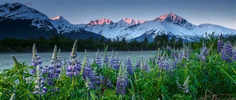 Alaska Landscapes | Alaska Landscape Photography - Jeff Schultz ...