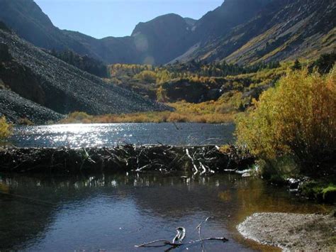 The Beaver Dam in Alberta, Canada | Beaver dam, Dam, Holiday vacations