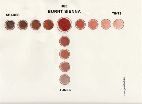 Burnt Sienna - Shade 20 Information | Art Shebang