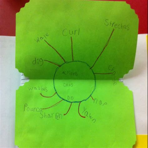 Kinder Language Arts Portfolio: Verbs Graphic Organizer Foldable - story "Mama Cat has three ...