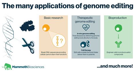 The many applications of (CRISPR) genome editing - Mammoth Biosciences