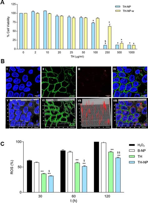 A Cell viability of HaCaT keratinocytes after incubation for 24 h with ...