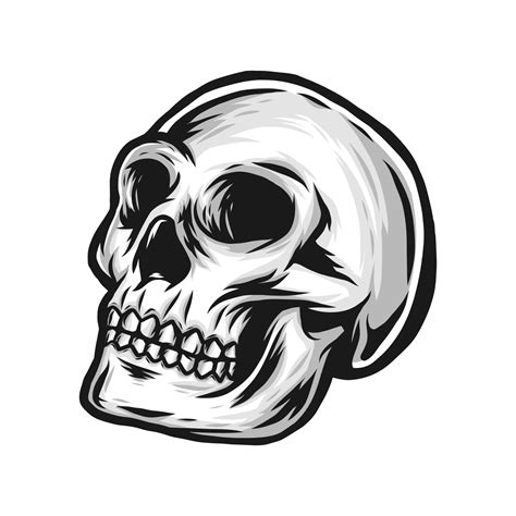 skull logo vector 21769090 Vector Art at Vecteezy