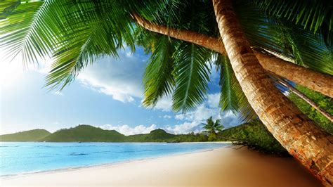 🔥 [50+] Paradise Island Wallpapers | WallpaperSafari