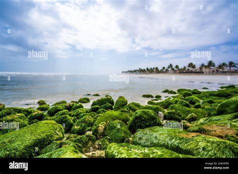 Salalah, Oman City Beach Stock Photo - Alamy