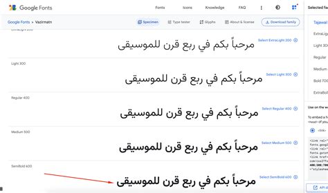 css - Custom / Google arabic font on wordpress - Stack Overflow