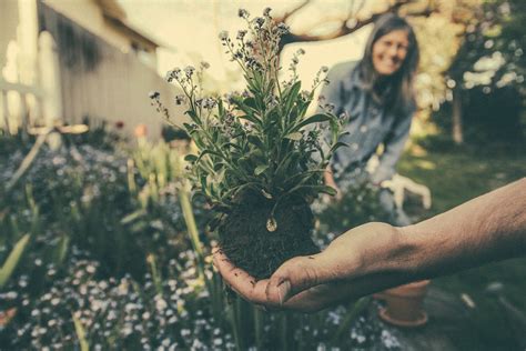 Is Landscaping Horticulture? Differences & Similarities (+8 Examples)