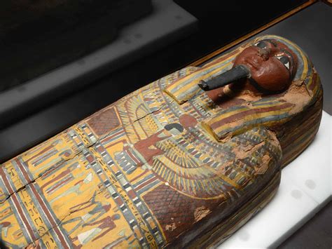 Ancient mummy exhibit at Natural History Museum shows what's inside mummies - Business Insider