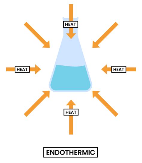 edexcel_igcse_chemistry_topic-18_energetics_002_endothermic-reaction-diagram-labelled - Studia ...