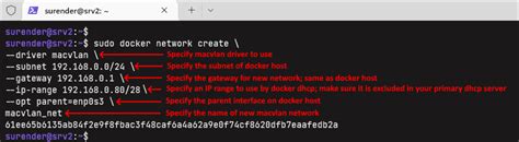 Macvlan network driver: Assign MAC address to Docker containers – 4sysops