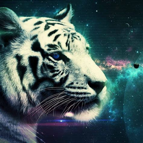 galaxy tiger | Papel de parede de animais, Animais, Arte de tigre