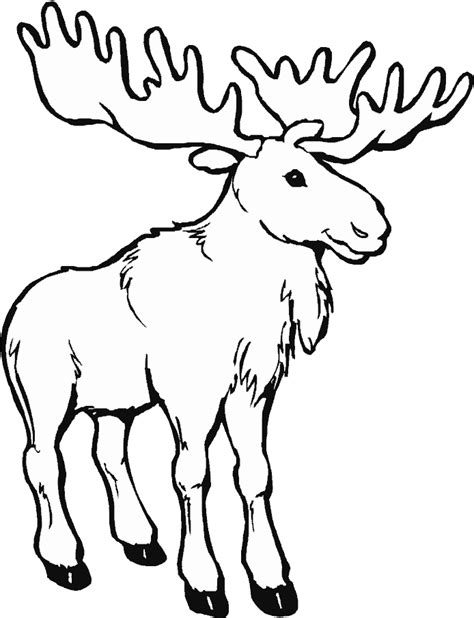 Download Png Library Animals Printable Coloring Pages Page - Moose Coloring Pages PNG Image with ...