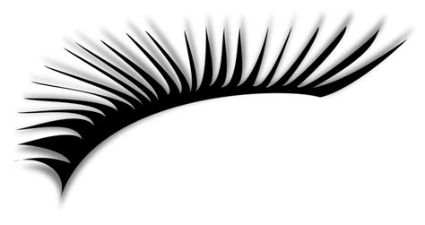 Public Domain Clip Art Image | Eyelash 1 | ID: 13935894012321 | PublicDomainFiles.com