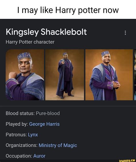 I may like Harry potter now Kingsley Shacklebolt Harry Potter character ...