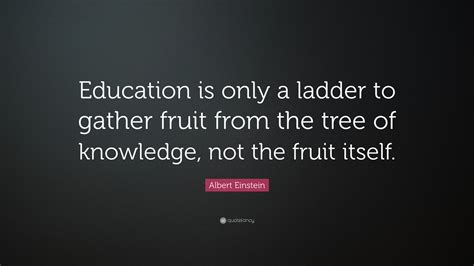 Einstein Quotes Education
