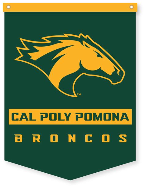 Cal Poly Pomona Banner - Best Banner Design 2018