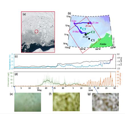 Research Floats Surface in the Chukchi Sea Providing Valuable Data on Under Sea-Ice Conditions ...