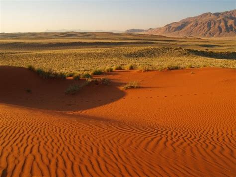 South Africa | Desert pictures, Incredible places, Fun deserts