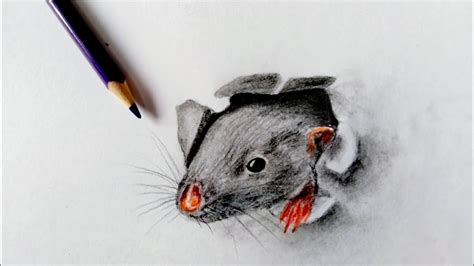 How to draw realistic 3d rat coming through paper. - YouTube