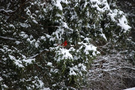 Explore! Southern Indiana: Winter Scenes