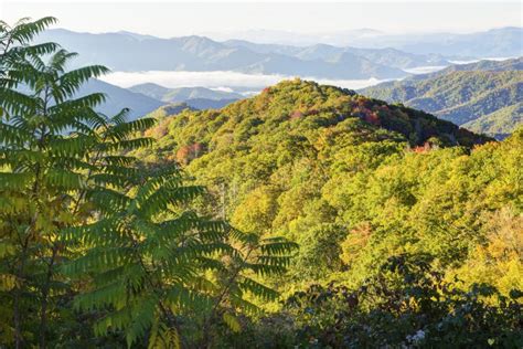 Great Smoky Mountains in Fall Colors. Stock Photo - Image of dramatic ...