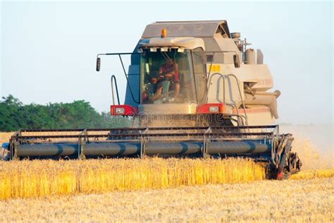 Harvester Machine To Harvest Wheat Field Working Editorial Photo ...