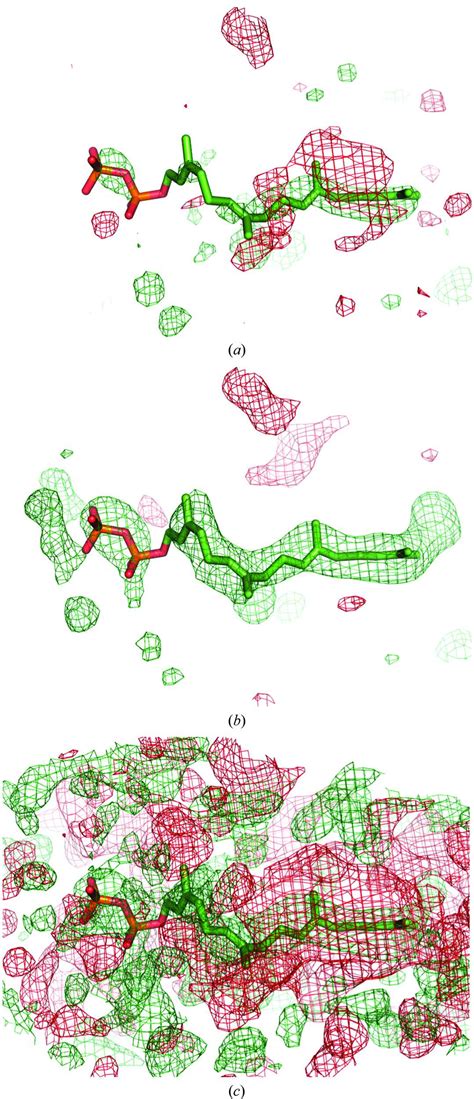 (IUCr) Polder maps: improving OMIT maps by excluding bulk solvent