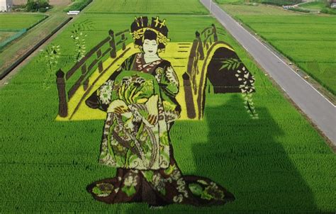 Rice Paddy Art – jkeyblog