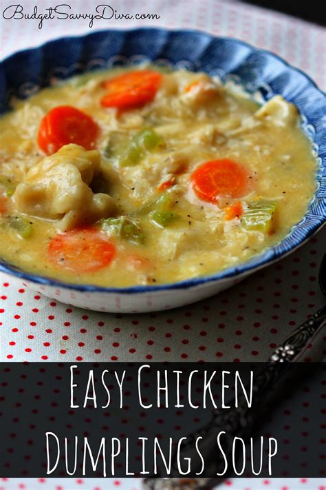 Chicken Dumplings Soup - Budget Savvy Diva