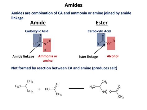 Amide Linkage