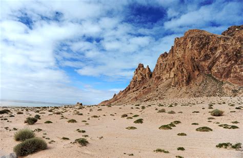 Beautiful scenery at Altun Mountains Nature Reserve in Xinjiang[4]- Chinadaily.com.cn