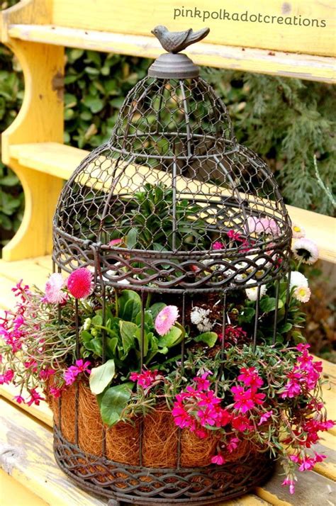 Pin by Lisa Ferguson-Estrada on h e r . f l o w e r . g a r d e n | Garden containers, Birdcage ...