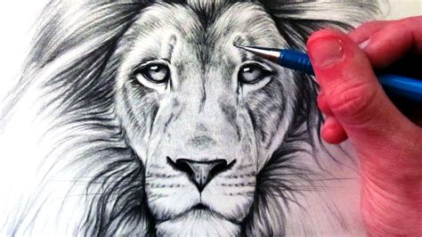 Lion Realistic Drawing at GetDrawings | Free download