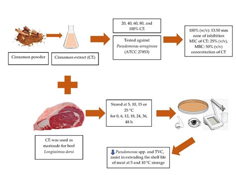 Foods | Free Full-Text | Microbiological and Sensorial Quality of Beef Meat (Longissimus dorsi ...