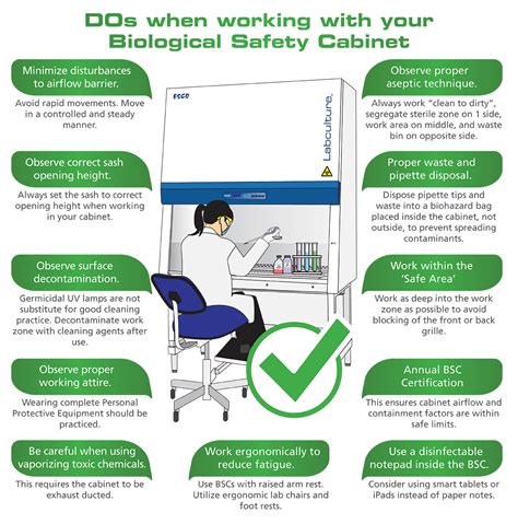 Biosafety Cabinet Certification Requirements | Cabinets Matttroy