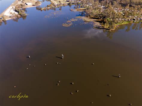 Lake Nagambie and Nagambie Lakes Regatta Centre drone images