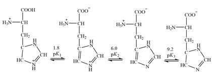 The amino acid Histidine has 3 pKa values. Explain what each of these values stands for ...