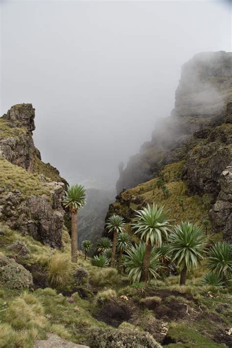 How to climb Ras Dashen - Ethiopia's highest peak | mountain paths