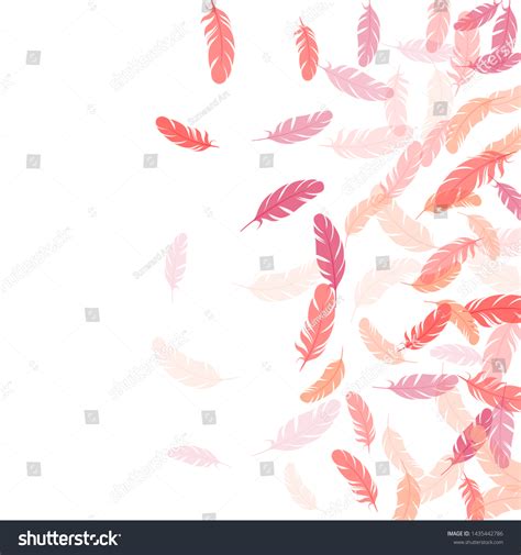 Glamour Pink Flamingo Feathers Vector Background Stock Vector (Royalty ...