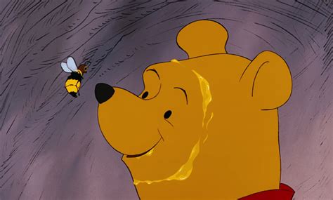 Image - Winnie the Pooh has come face to face with the honey bee.jpg | Disney Wiki | FANDOM ...