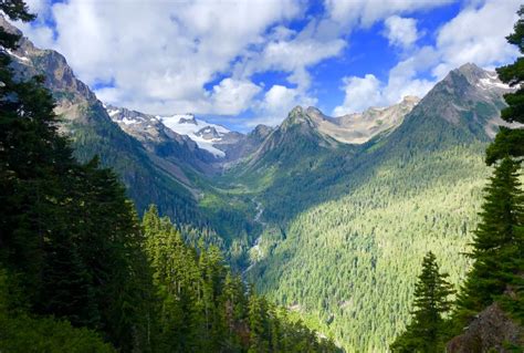 Backpacking the Hoh River Trail - Grey Otter Outventures®