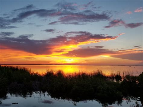 15 Best Things to Do on Apopka (FL) - The Crazy Tourist