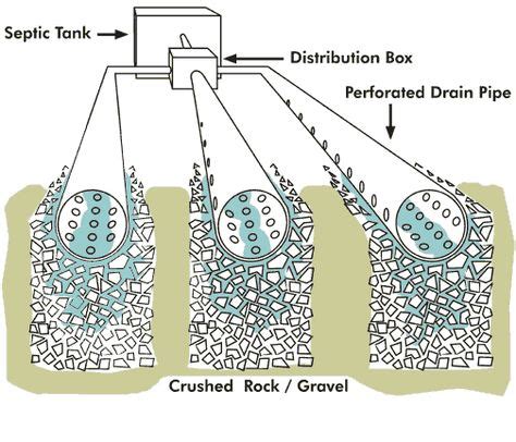 40 Septic and leach fields ideas in 2021 | septic tank, septic tank systems, septic system