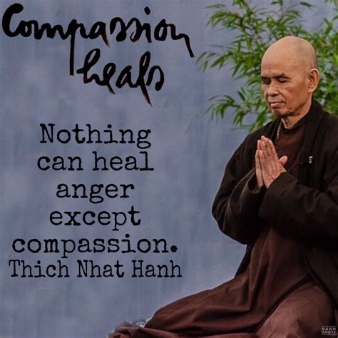 Nothing can heal anger except compassion. - Thich Nhat Hanh. @thichnhathanhquotecollecti ...