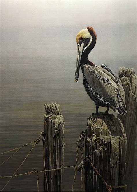 Art Country Canada -ROBERT BATEMAN Brown Pelican and Pilings Limited ...