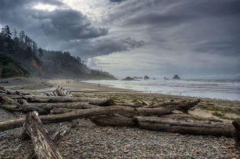 Oregon Coast Trail Thru-Hiking Guide - Territory Supply