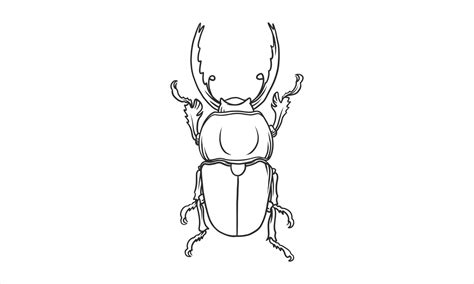 Vector lineart illustration of beetles on white background, hand drawn Japanese horned beetle ...