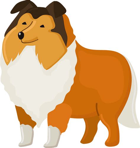 Shetland sheepdog clipart. Free download transparent .PNG | Creazilla