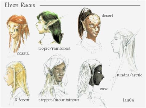 Elven Races by suprhppymgcprincesss on DeviantArt