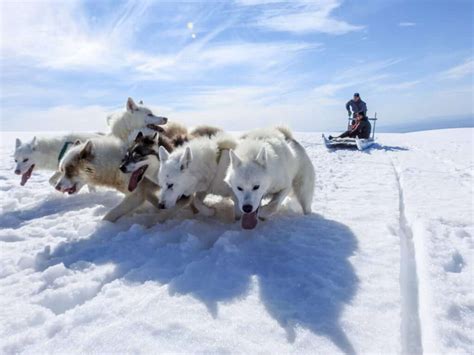 Greenland in Winter • 5 things to do | Guide to Greenland